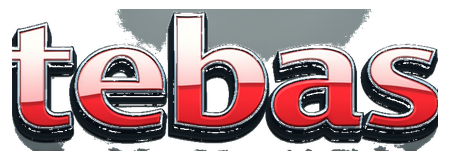tebas 125 logo